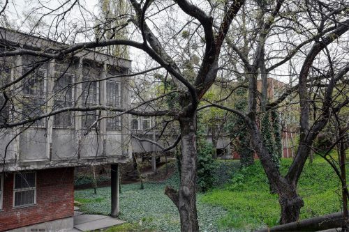 DSC 088 89 Fusion-Natural111