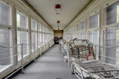 DSC 8000 1 2 Fusion-Natural