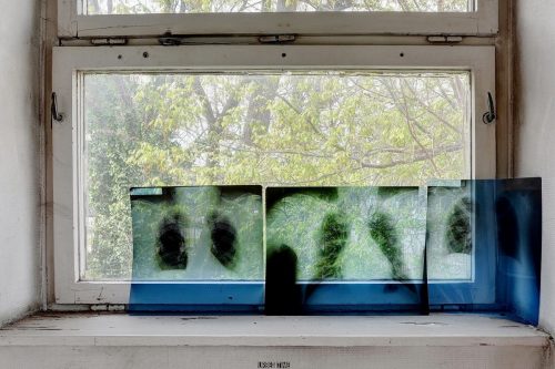 DSC 8033 4 5 Fusion-Natural