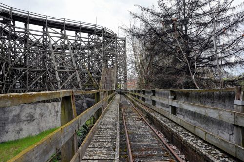 DSC 8097And1more Fusion-Natural