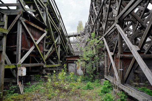 DSC 8107And1more Fusion-Natural