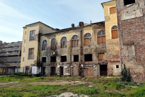 DSC 8227And1more Fusion-Natural