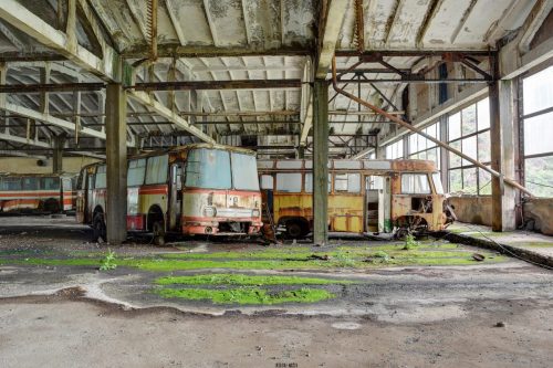 DSC 8866 7 8 Fusion-Natural