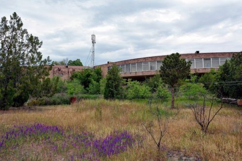 DSC 9096And1more Fusion-Natural