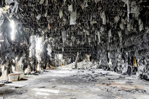 DSC 9151 2 3 Fusion-Natural